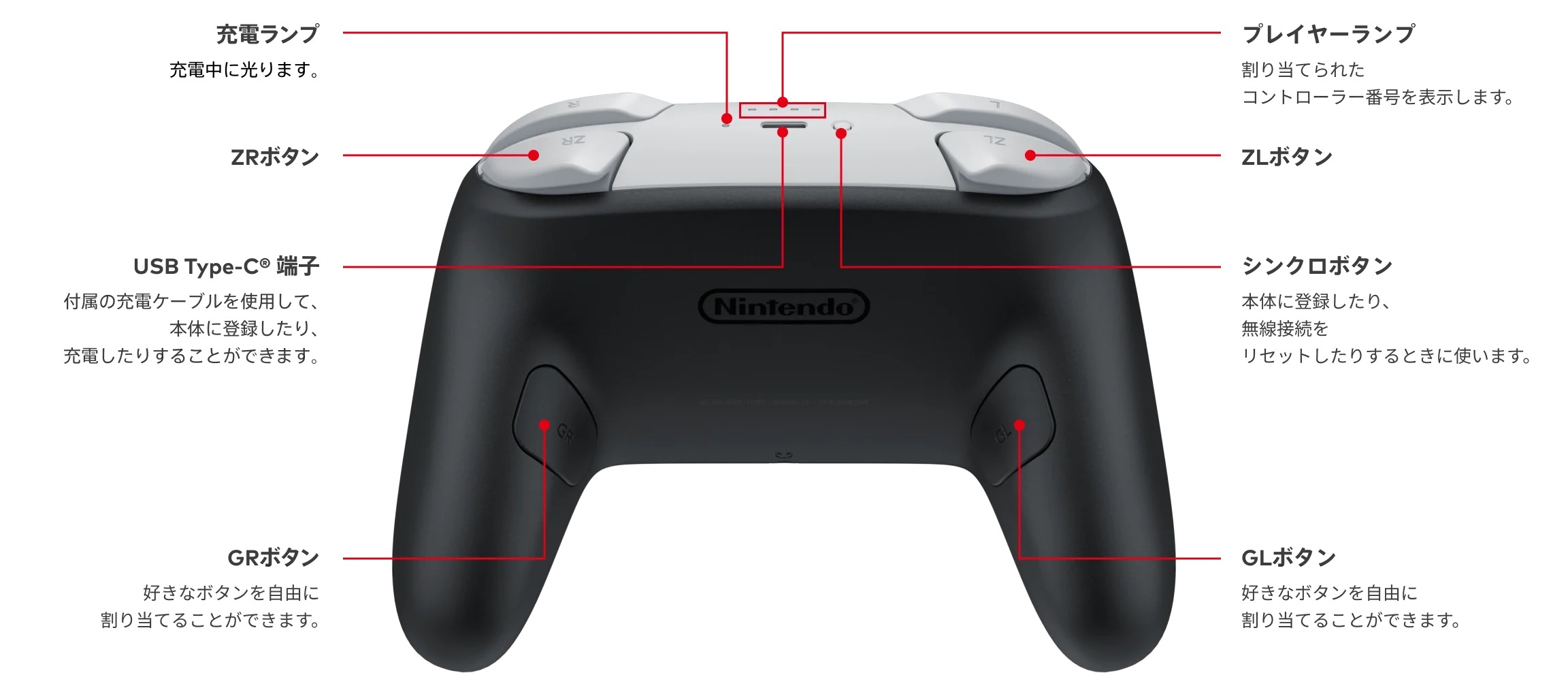 Nintendo Switch 2 Proコントローラーの背面(GL/GRボタン、USB Type-C端子)